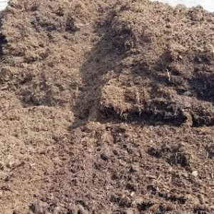 Mushroom Soil Compost