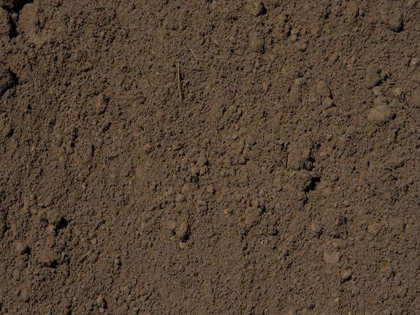 top soil