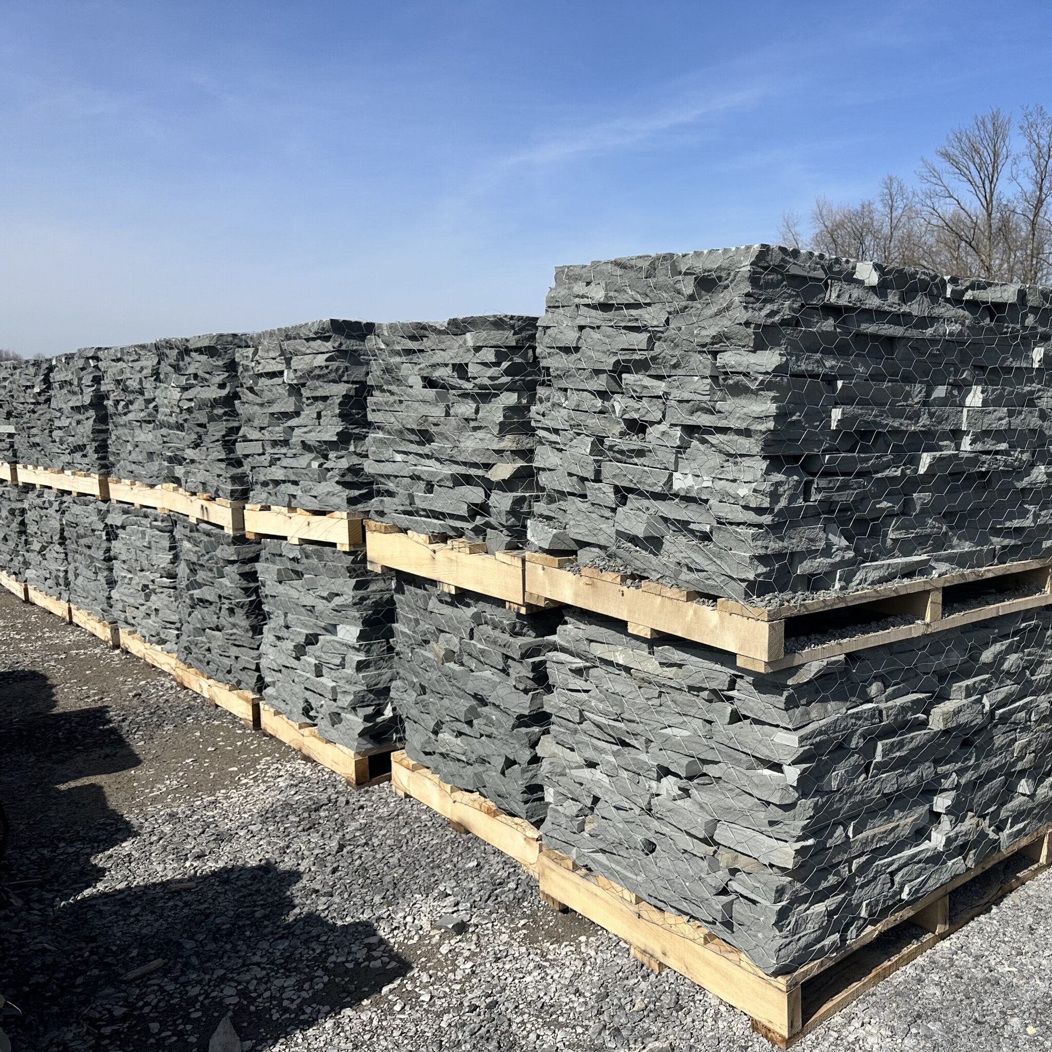 IMG 9427 1 edited 2048x2048 1