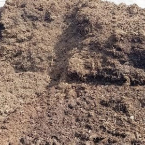 Mushroom Soil Compost